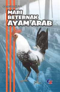 Mari Beternak Ayam Arab