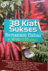 38 Kiat Suses  Bertanam cabai di musin hujan