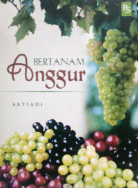 Bertanam Anggur