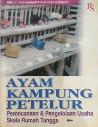 Ayam kampung petelur