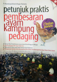 Petunjuk praktis pembesaran ayam kampung pedaging