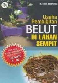 Usaha Pembibitan Belut di Lahan Sempit