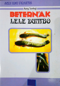 Beternak lele dumbo